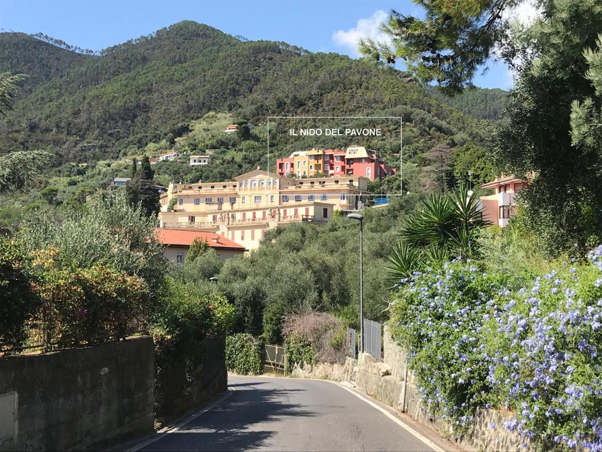 Appartement Il Nido Del Pavone à Monterosso al Mare Extérieur photo